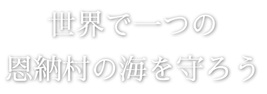 世界で一つの恩納村の海を守ろう